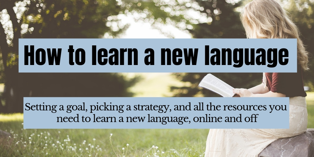 Language fluency online vs language training