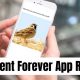 fluent forever app